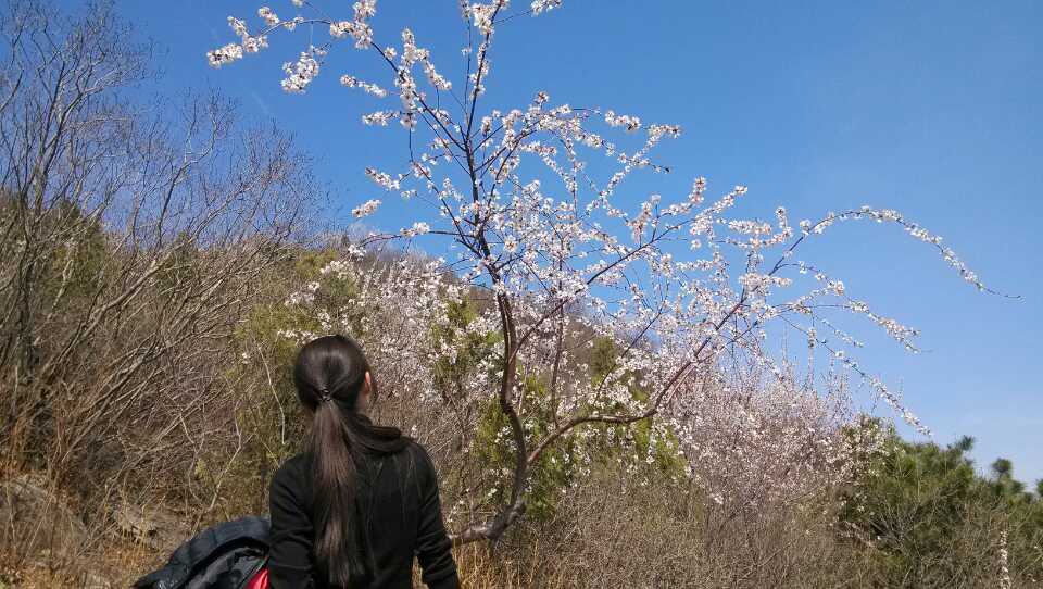 繁花
