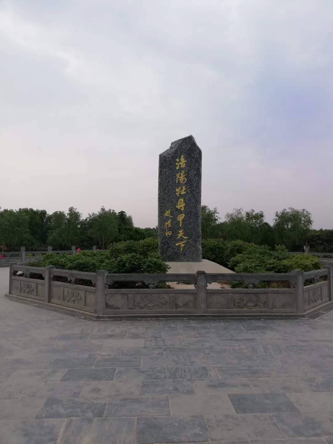 牡丹